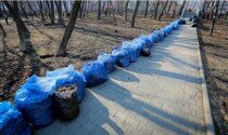 Уборка Калуги продолжается